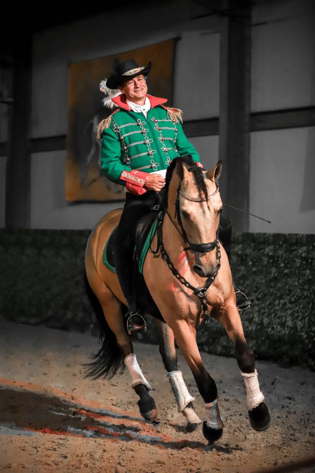 Gelding Lusitano For sale 2017 Buckskin