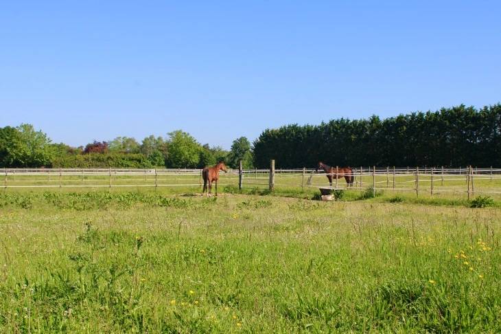 Racing yard  Charente-Maritime