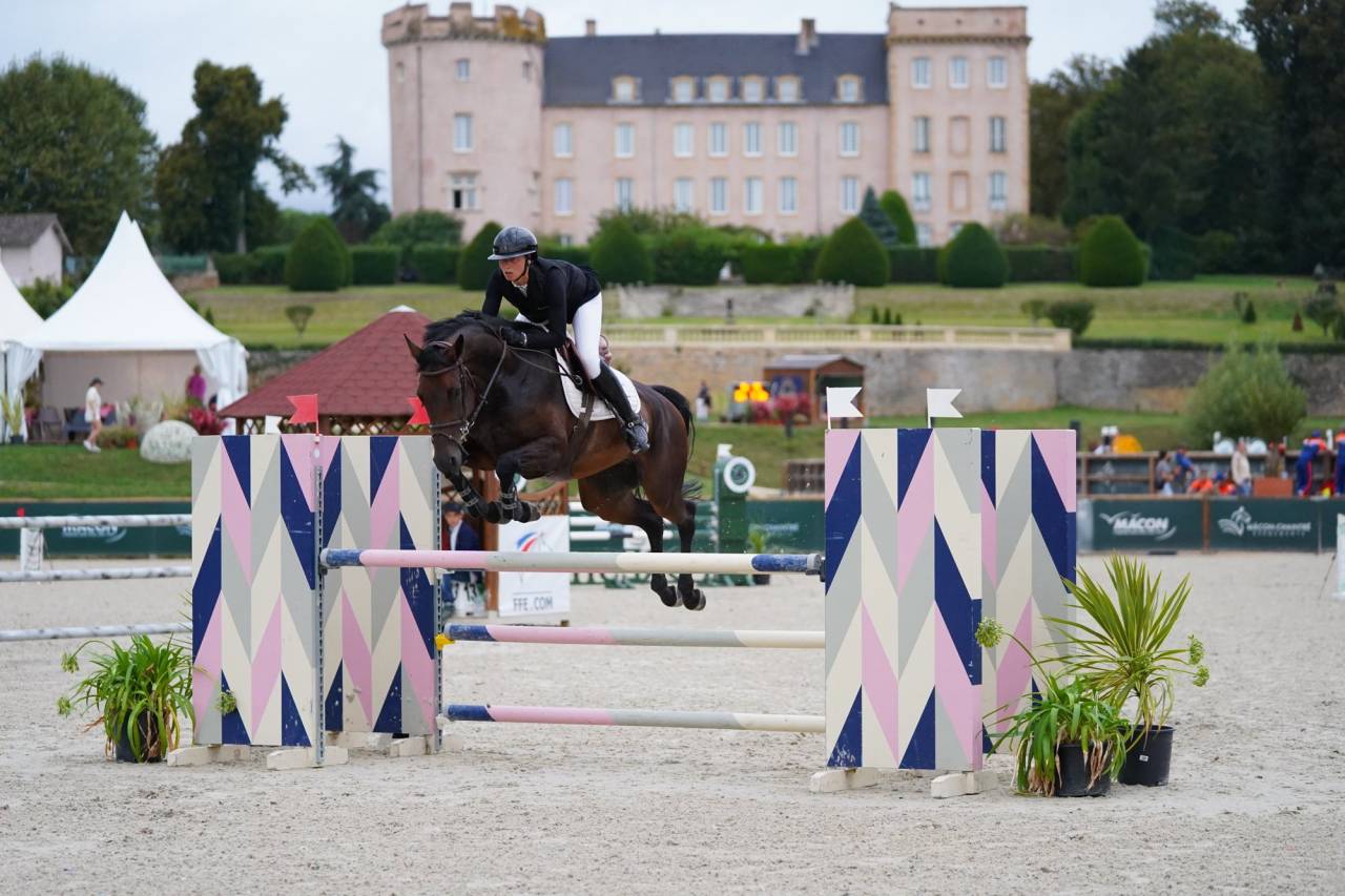 Mare Oldenburg For sale 2018 Bay