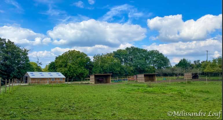Equestrian property  Seine-et-Marne