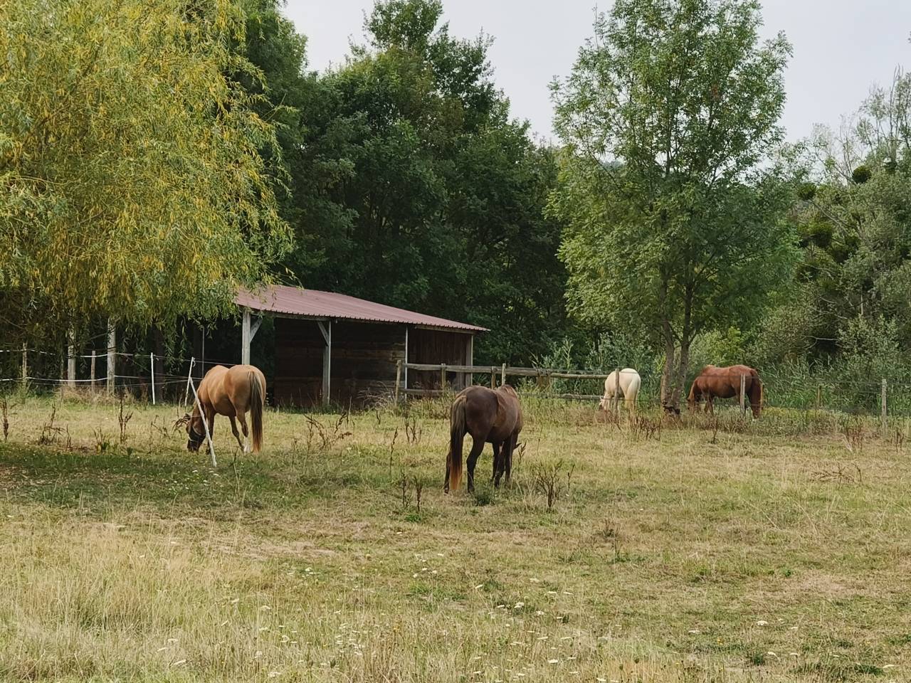 Equestrian property  Dordogne