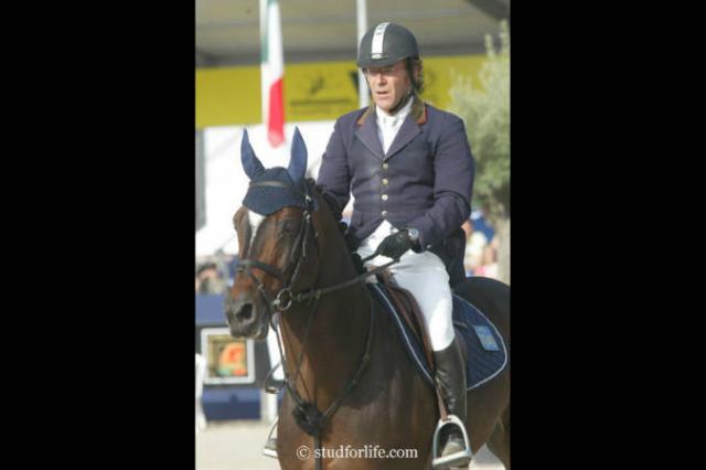 Toulon - BWP Belgian Warmblood 1996 by HEARTBREAKER