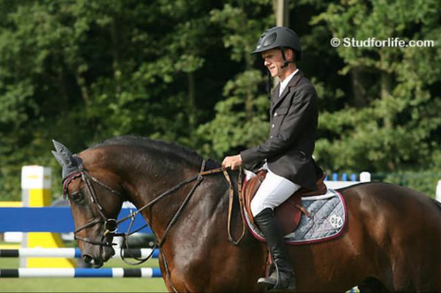 Toulon - BWP Belgian Warmblood 1996 by HEARTBREAKER