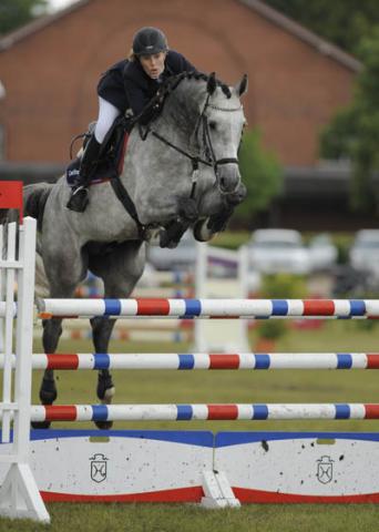 Clarimo - Holsteiner 2003 by CLEARWAY HOLST