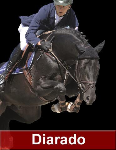 Diarado - Holsteiner 2005 by DIAMANT DE SEMILLY SFA