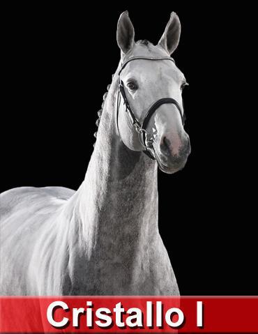 Cristallo I - Westphalian  2003 by CORNET OBOLENSKY