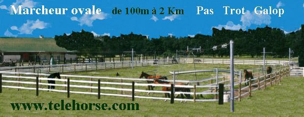 TELEHORSE.COM | Equestrian facilities > Horse walkers