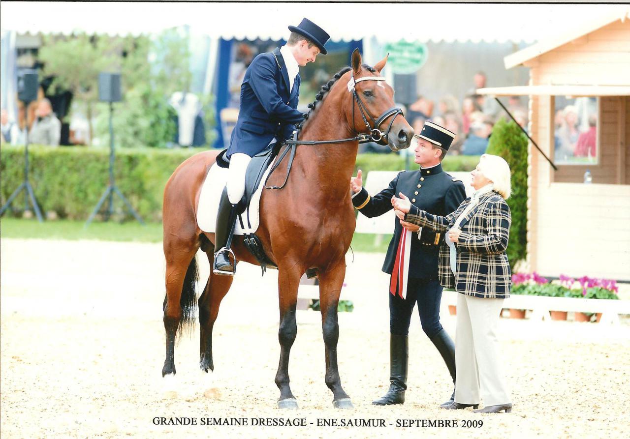 ZZ TOP - KWPN Dutch Warmblood 2004 by Glock's Tango