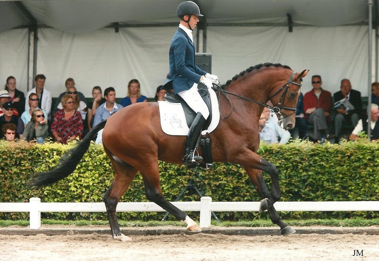 ZZ TOP - KWPN Dutch Warmblood 2004 by Glock's Tango