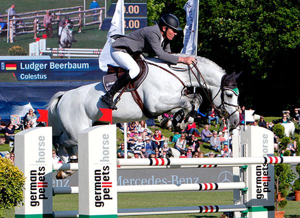 Colestus - Westphalian  2006 by CORNET OBOLENSKY