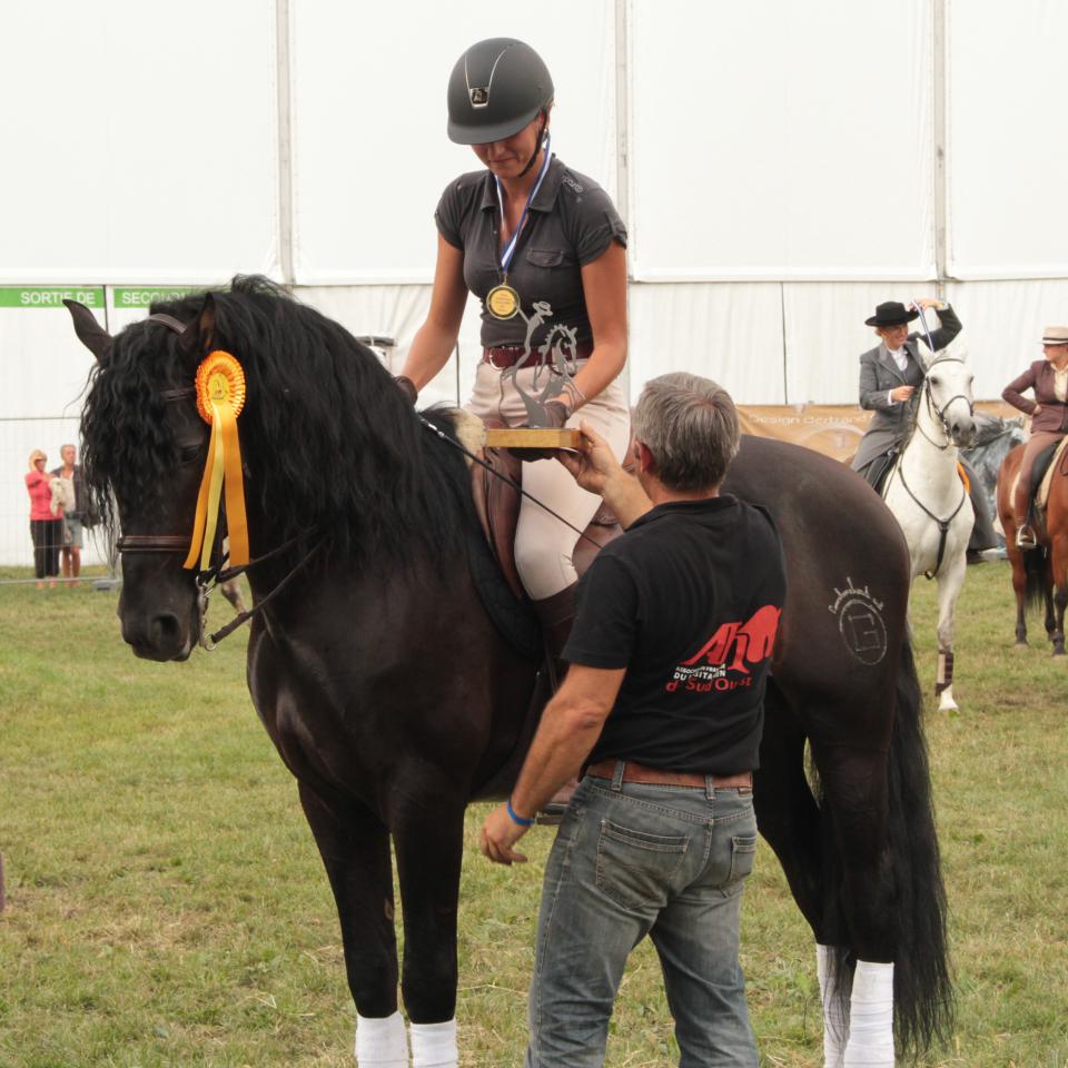 TENORIO DE VERLIN - PRE Pure Spanish Bred 2007 by NIGER V