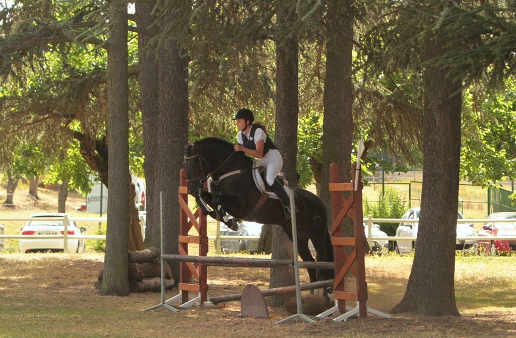 TENORIO DE VERLIN - PRE Pure Spanish Bred 2007 by NIGER V