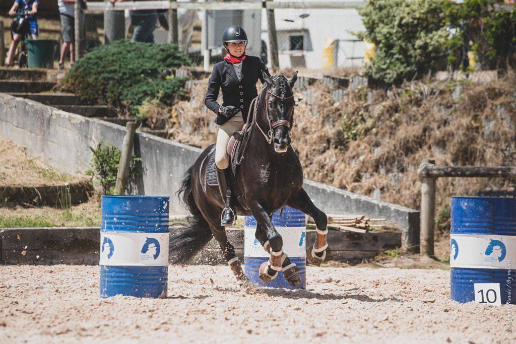 TENORIO DE VERLIN - PRE Pure Spanish Bred 2007 by NIGER V