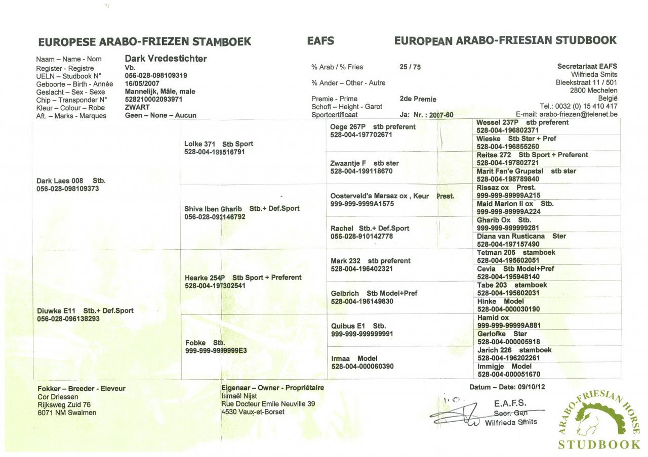 DARK VREDESTICHTER 022 - Friesian Arabian 2007