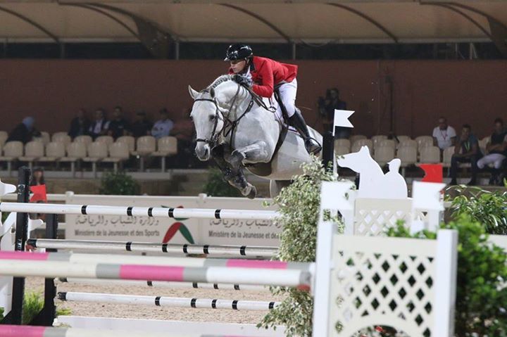 Garfield des Templiers - BWP Belgian Warmblood 2006 by Quazimondo z