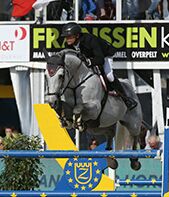 Garfield des Templiers - BWP Belgian Warmblood 2006 by Quazimondo z