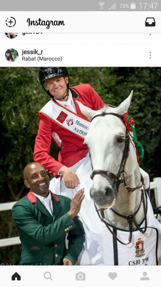 Garfield des Templiers - BWP Belgian Warmblood 2006 by Quazimondo z