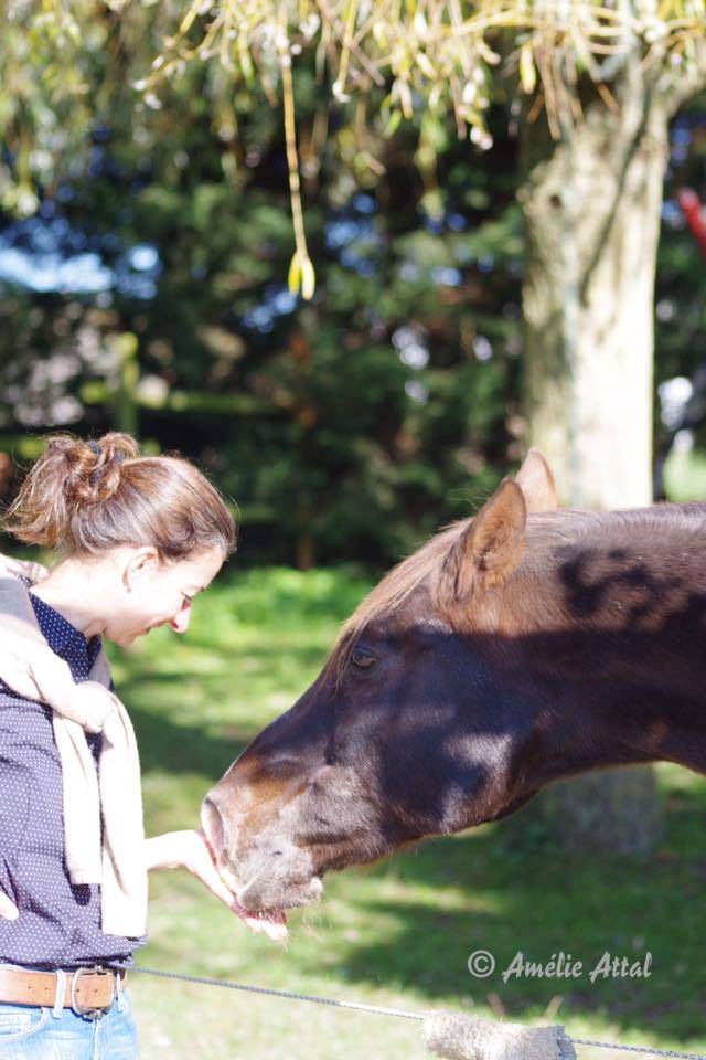 Cheval-Authentique | Equine services > Personal development