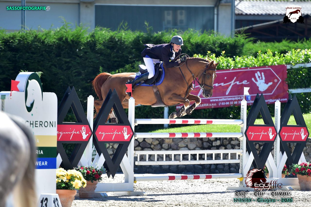 SCEA Haras de Fuyssieux | Horse breeders > Breeders, Sport horses