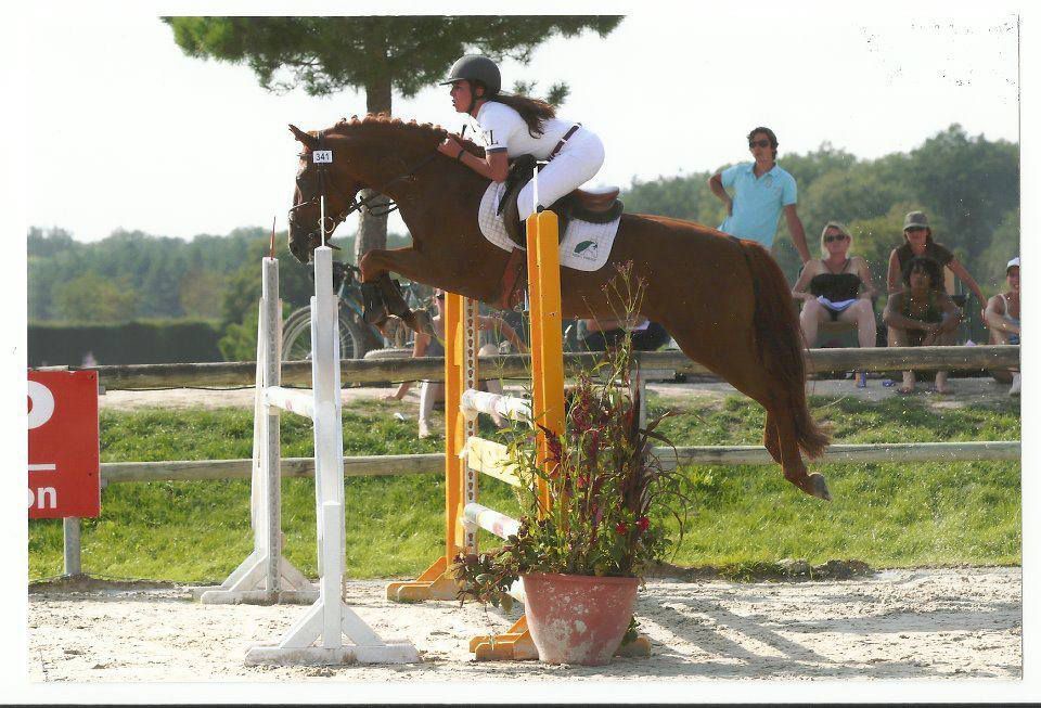 ROCKENROL GEVAUDAN - New Forest 2005 by IVOIRE DE CIVRY 