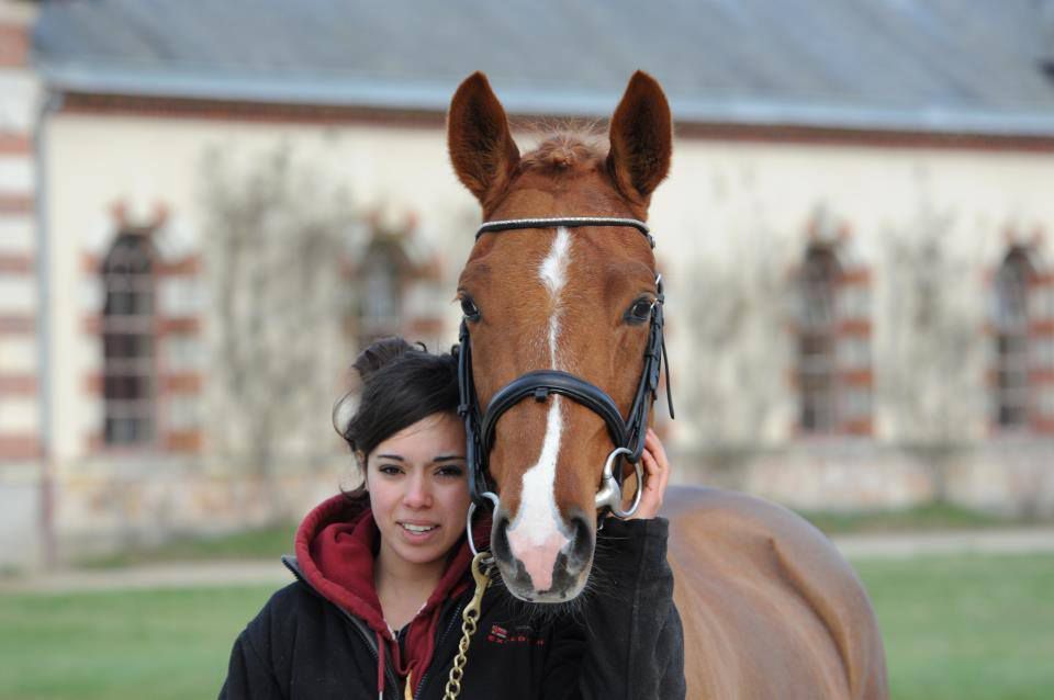 ROCKENROL GEVAUDAN - New Forest 2005 by IVOIRE DE CIVRY 