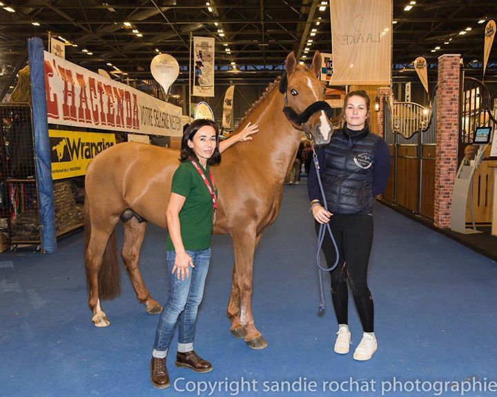ROCKENROL GEVAUDAN - New Forest 2005 by IVOIRE DE CIVRY 