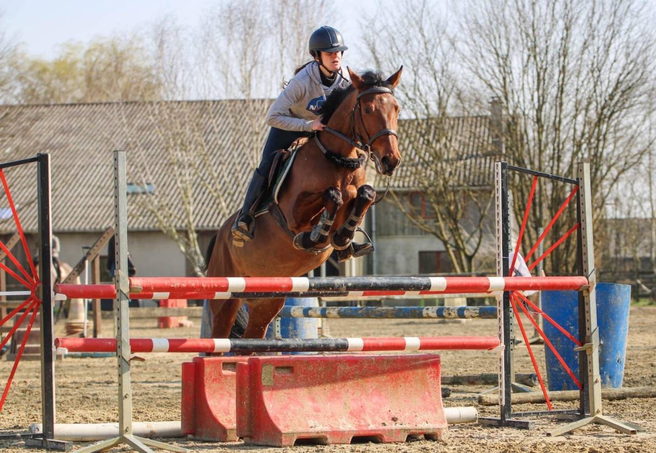 ROCKENROL GEVAUDAN - New Forest 2005 by IVOIRE DE CIVRY 