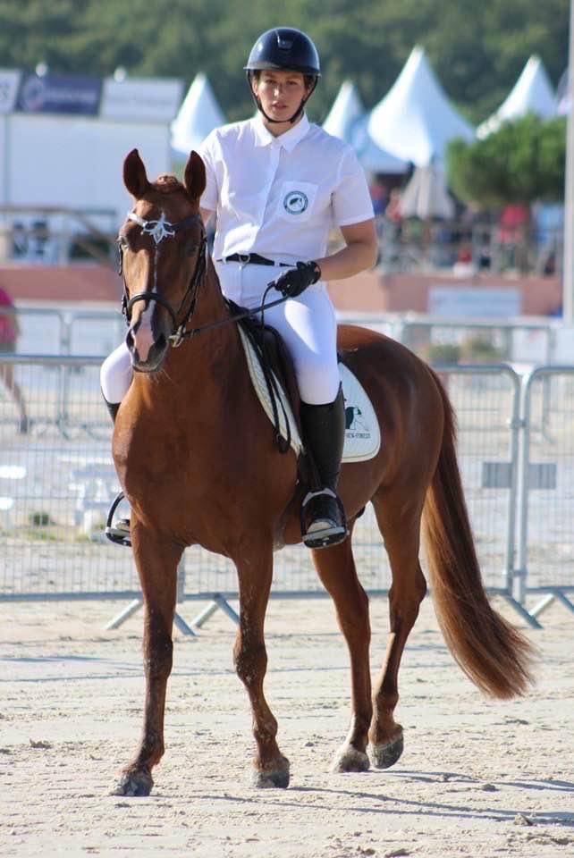 ROCKENROL GEVAUDAN - New Forest 2005 by IVOIRE DE CIVRY 