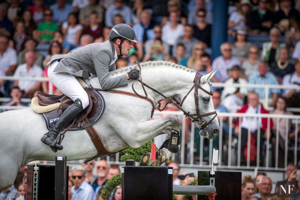 Convall - Holsteiner 2007 by COLMAN