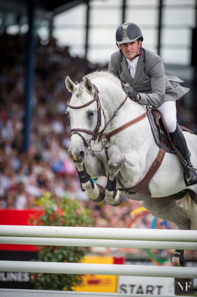 Convall - Holsteiner 2007 by COLMAN