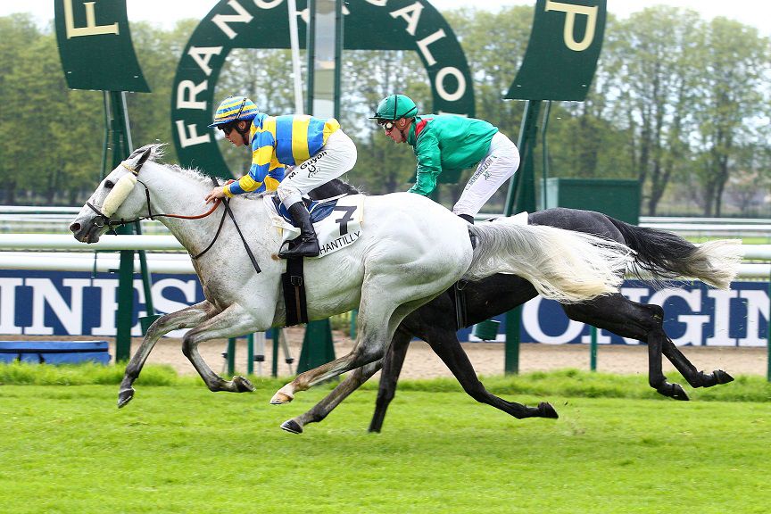 FLY WITH ME - English Thoroughbred 2010 by BEAT HOLLOW