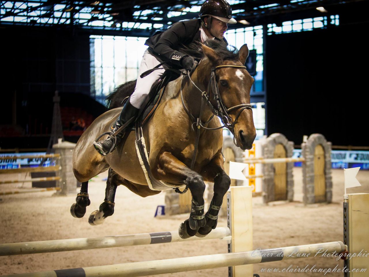 Clair de Lune Photographie | Equestrian art > Horse photographers