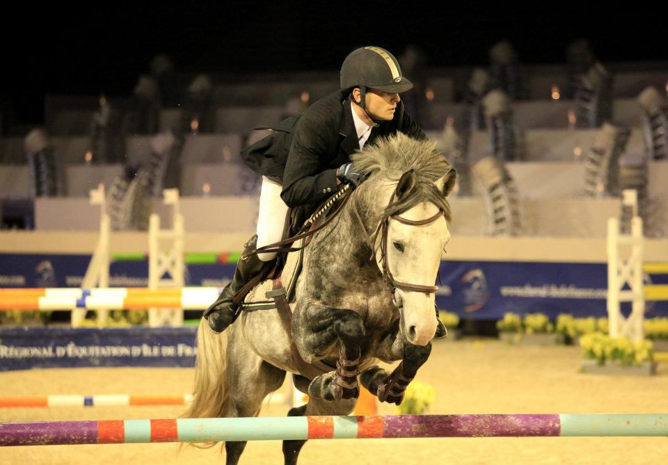 Clair de Lune Photographie | Equestrian art > Horse photographers