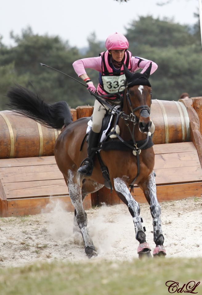 Clair de Lune Photographie | Equestrian art > Horse photographers