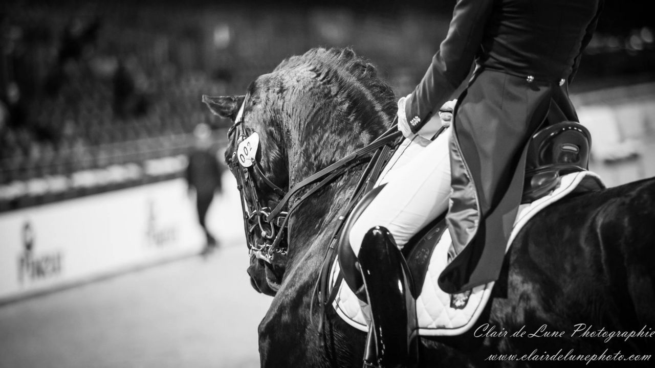 Clair de Lune Photographie | Equestrian art > Horse photographers