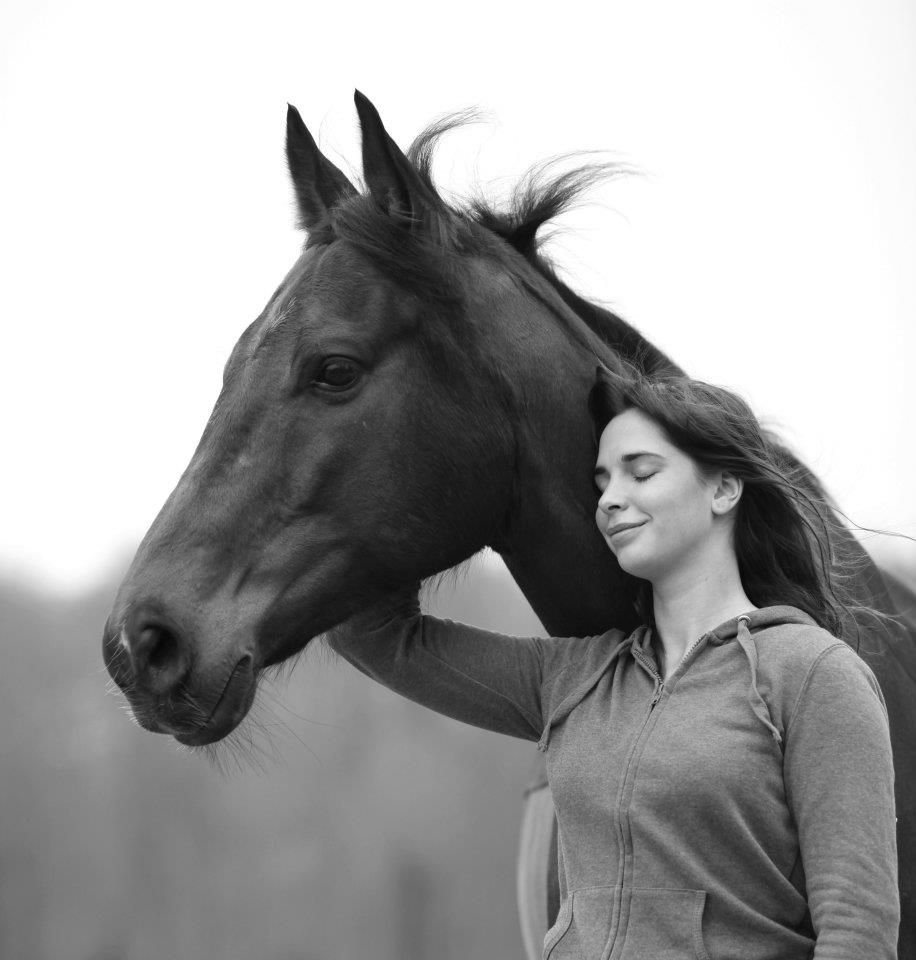 Clair de Lune Photographie | Equestrian art > Horse photographers