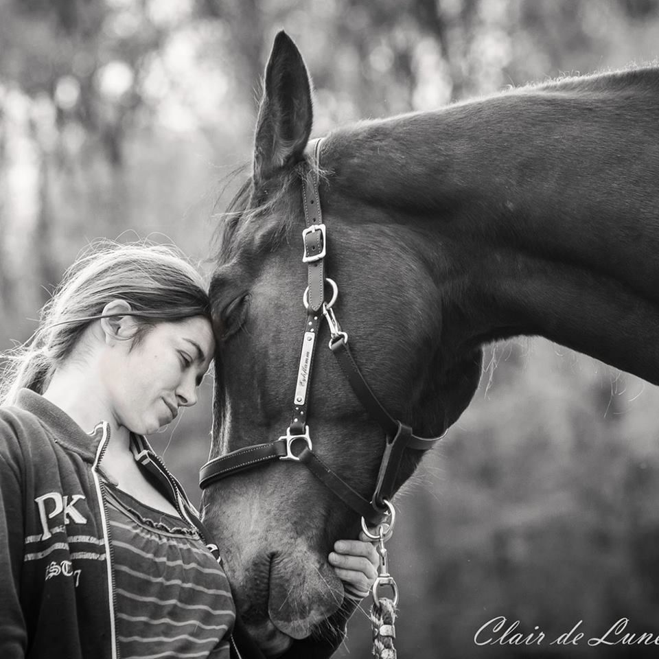 Clair de Lune Photographie | Equestrian art > Horse photographers