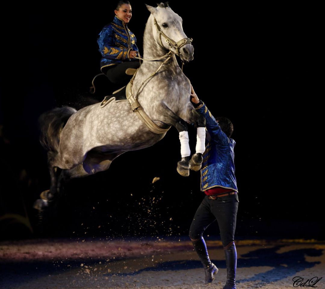 Clair de Lune Photographie | Equestrian art > Horse photographers