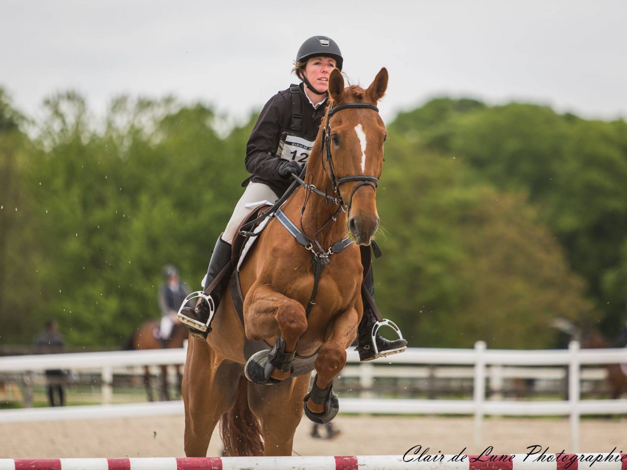 Clair de Lune Photographie | Equestrian art > Horse photographers
