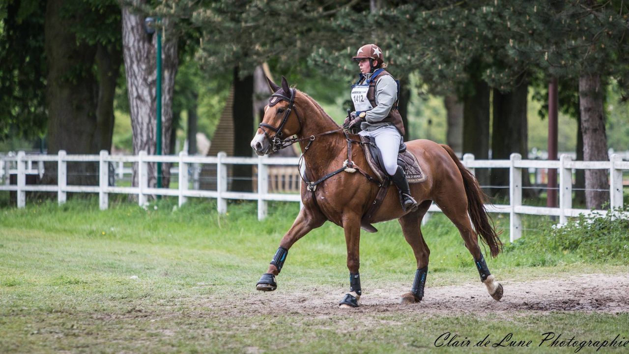Clair de Lune Photographie | Equestrian art > Horse photographers