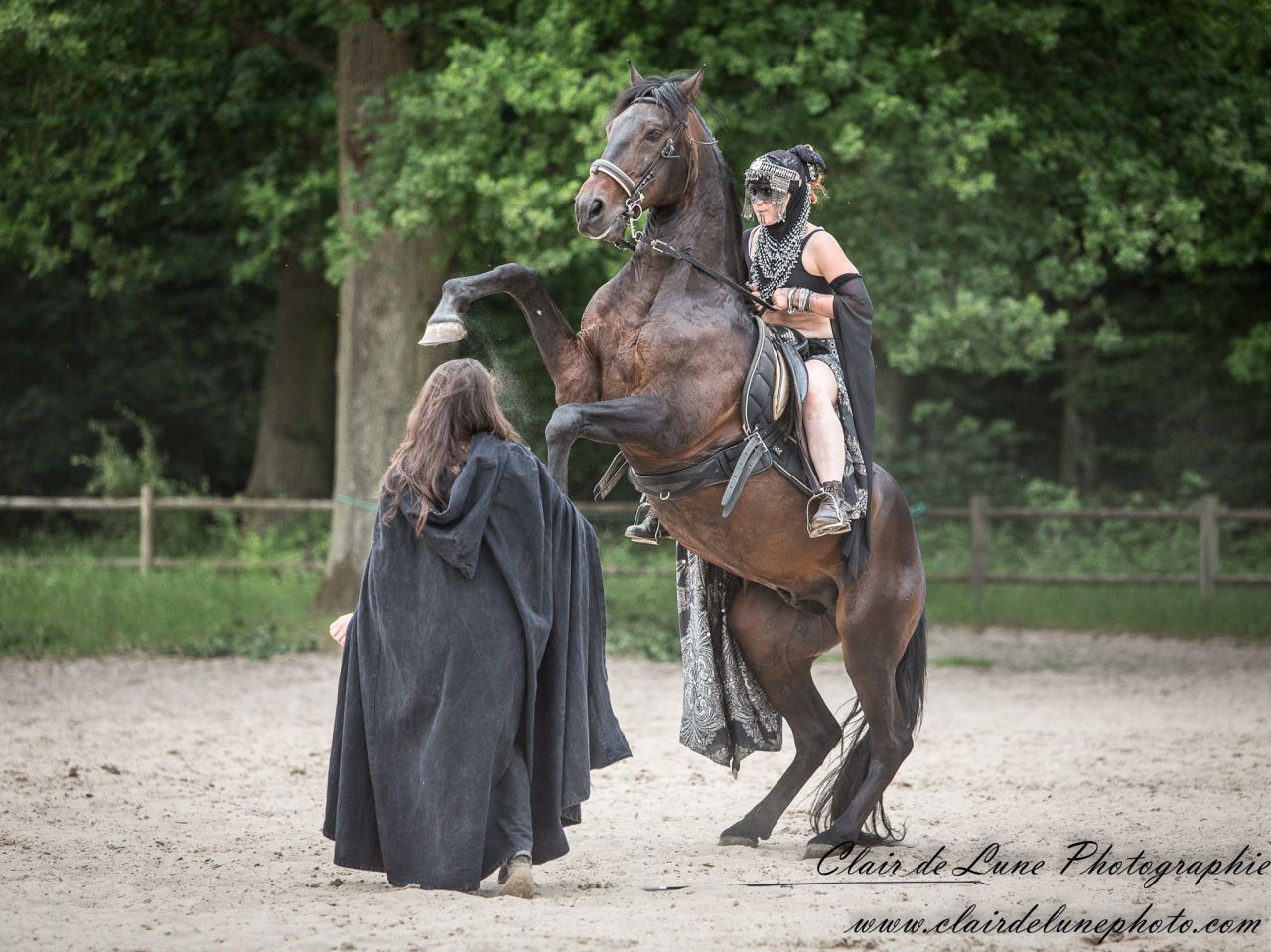 Clair de Lune Photographie | Equestrian art > Horse photographers