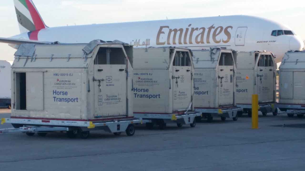 -sprl Olivier Risselin  | Horse transport > Horse carriers