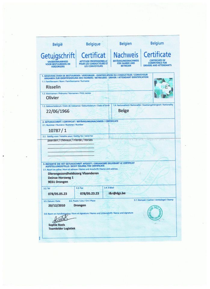 -sprl Olivier Risselin  | Horse transport > Horse carriers