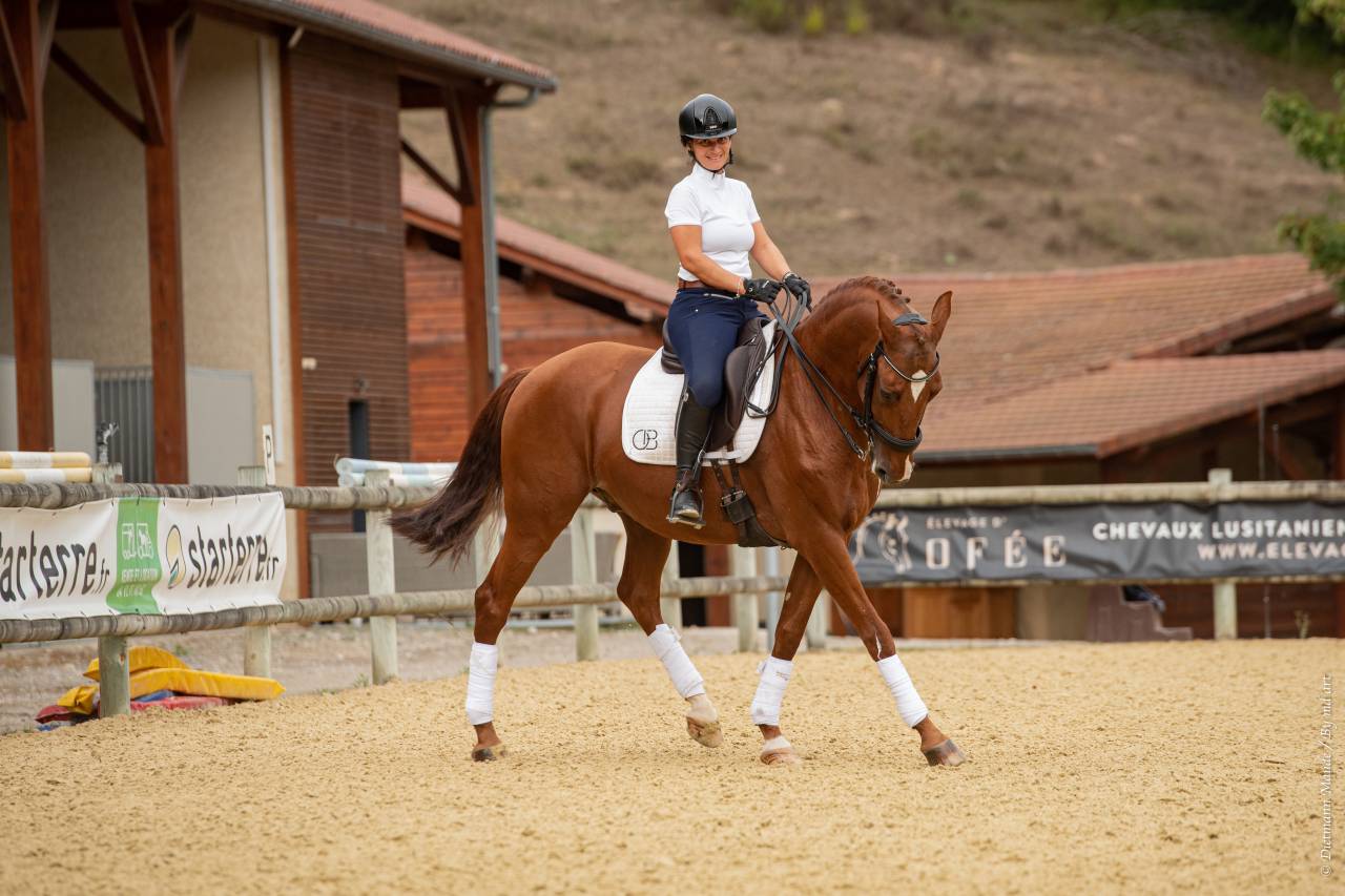 EROS - Lusitano 2009 by unico