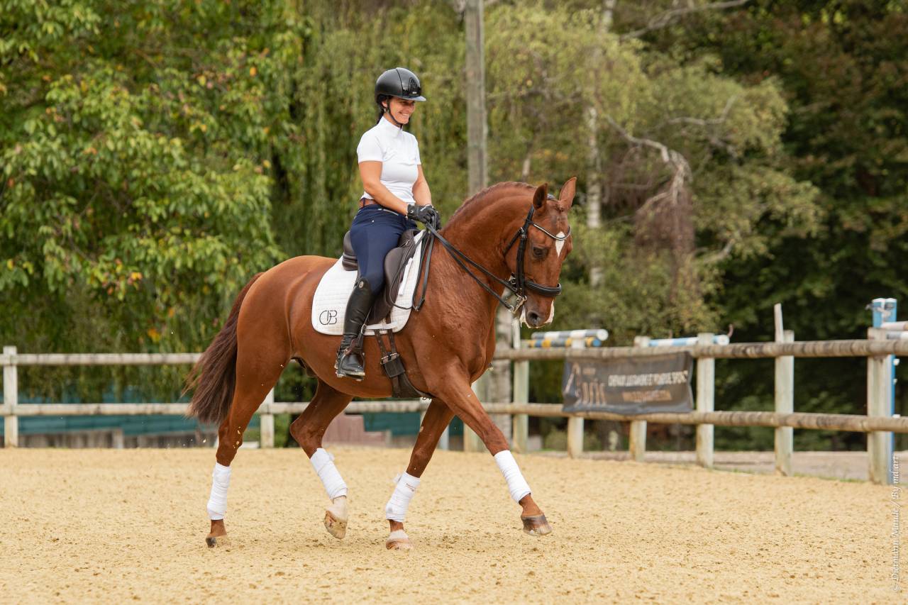 EROS - Lusitano 2009 by unico