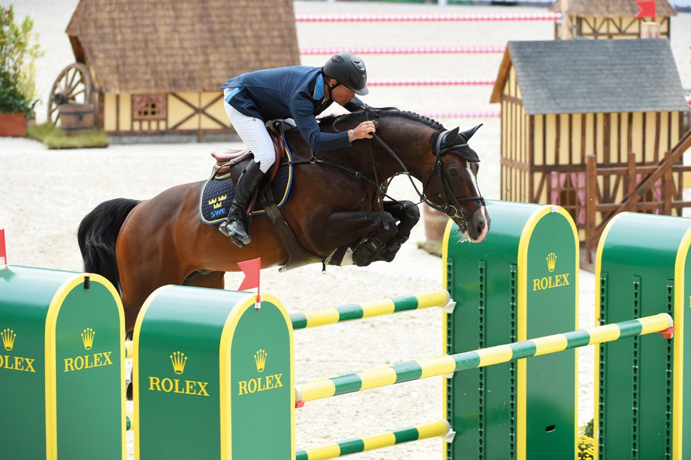 Casall ASK - Holsteiner 1999 by Caretino