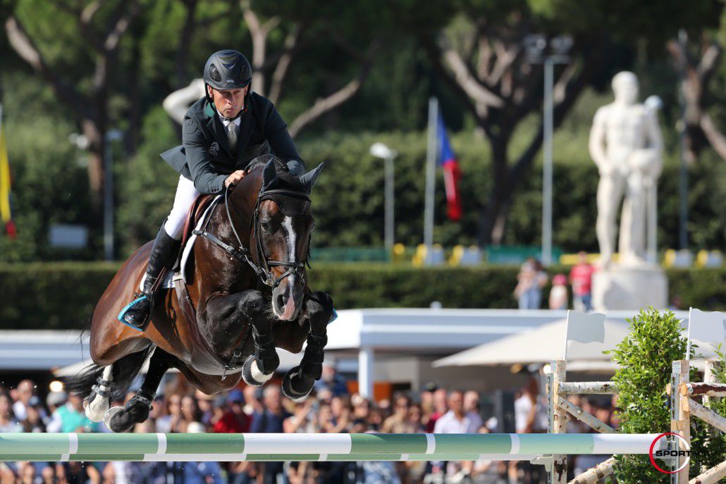 Casall ASK - Holsteiner 1999 by Caretino