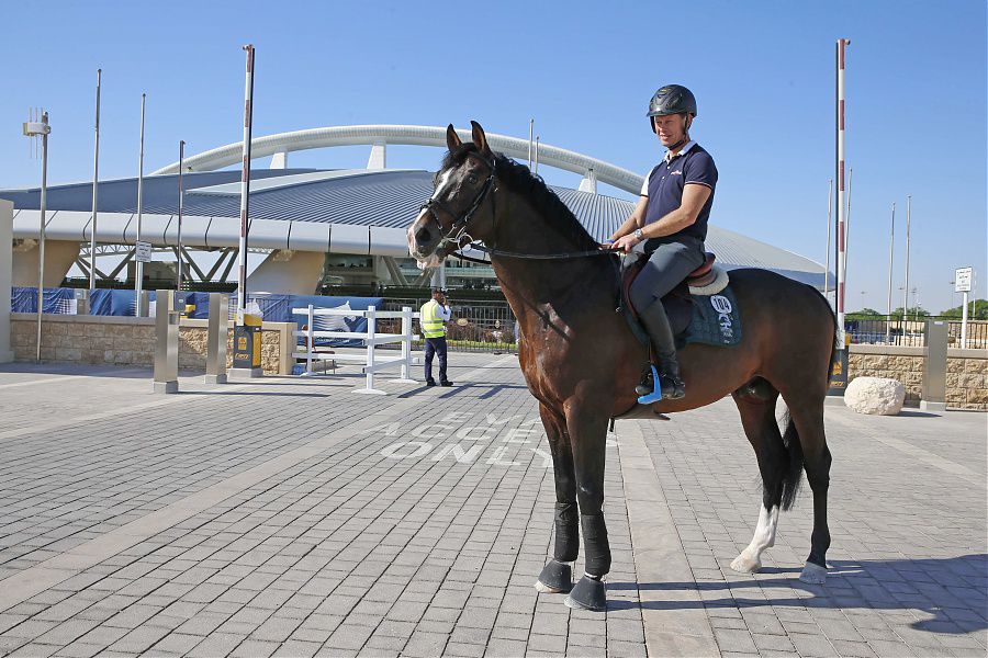 Casall ASK - Holsteiner 1999 by Caretino