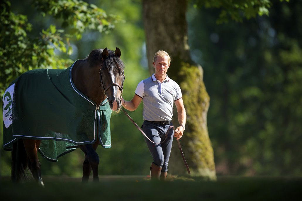 Casall ASK - Holsteiner 1999 by Caretino