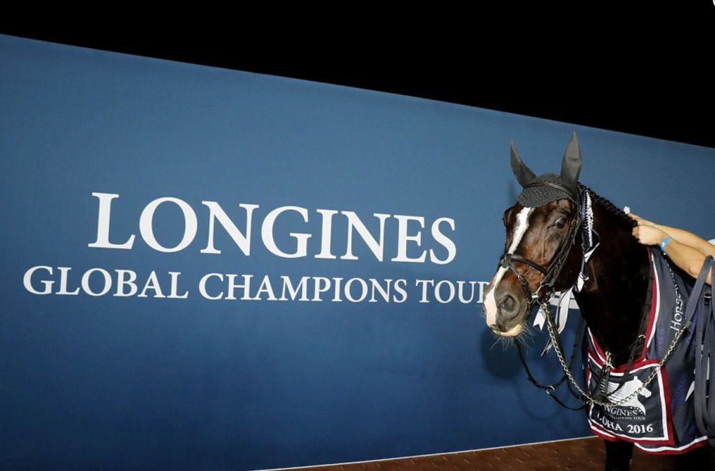 Casall ASK - Holsteiner 1999 by Caretino